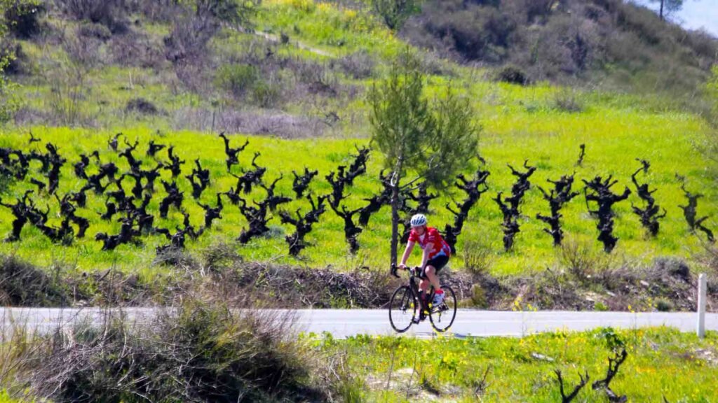 Best Cycling Routes for Beginners in Cyprus