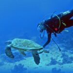 Best Scuba Diving Spots for Beginners in Cyprus