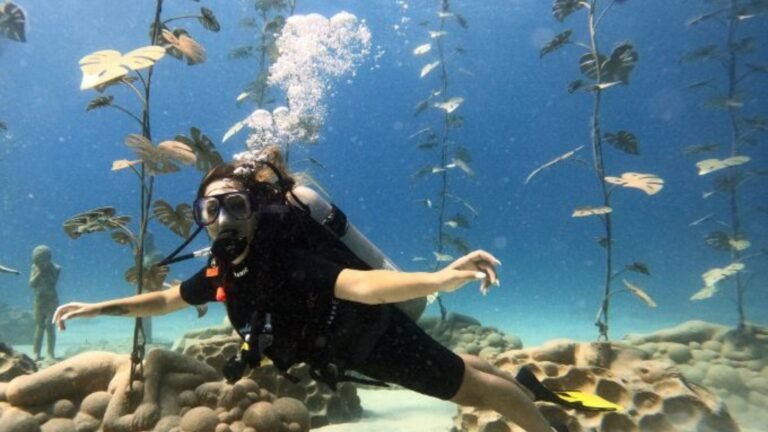 Best Spots for Scuba Diving in Cyprus