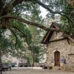 Best Times of Year to Enjoy Agrotourism in Cyprus