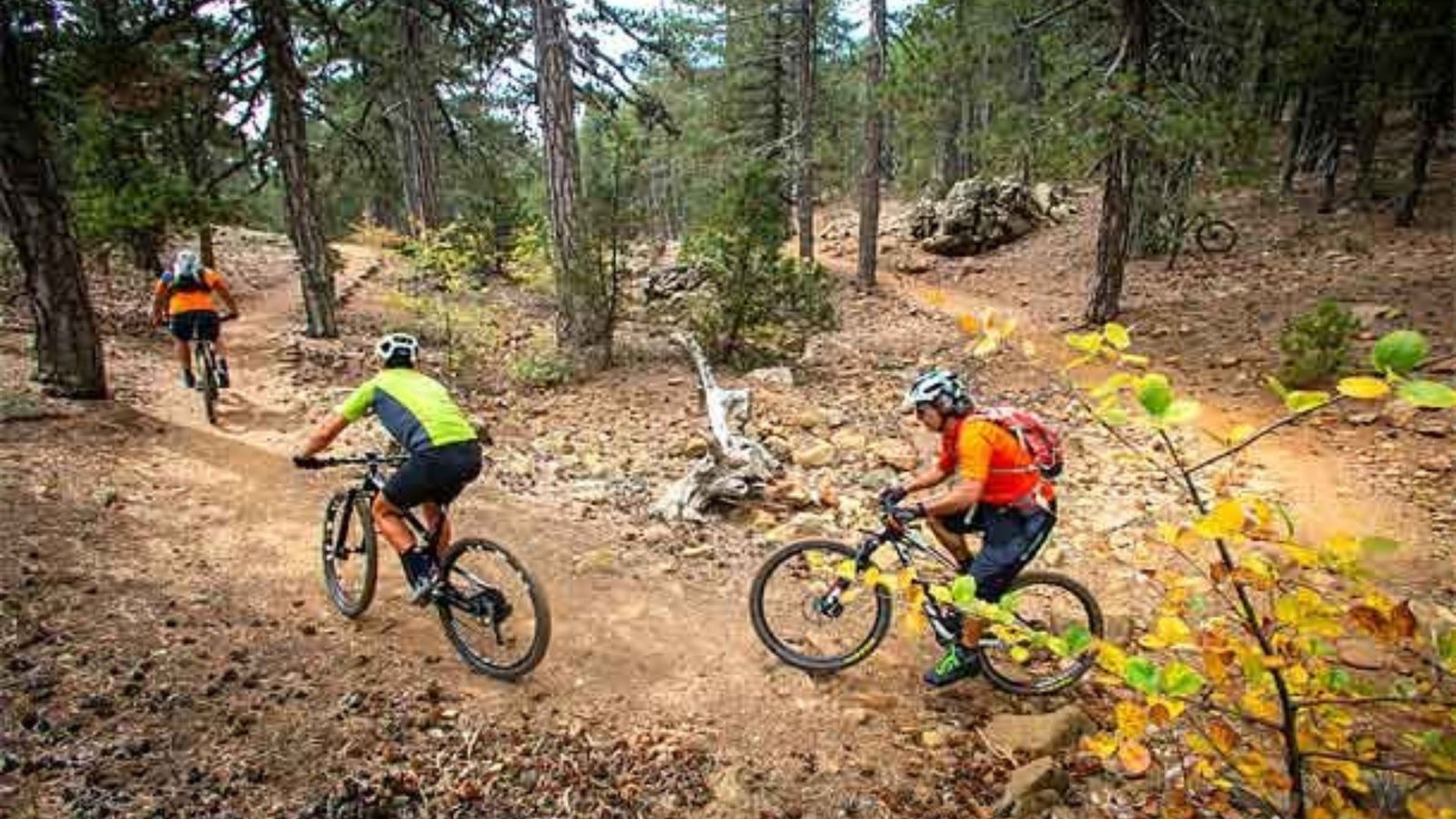 Challenging Cycling Routes in Cyprus