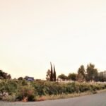 Cyprus Agrotourism for Wellness and Relaxation.