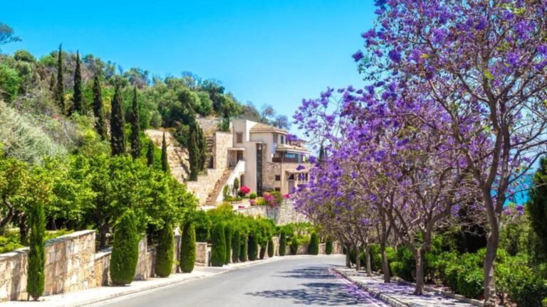 Tips for Experiencing Cyprus’ Village Lifestyle