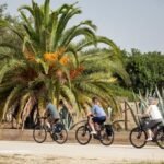 people riding bicycles through a park