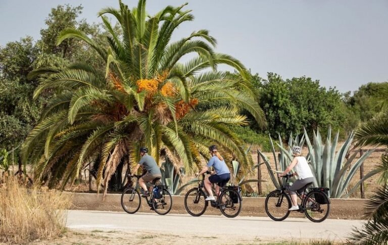 people riding bicycles through a park