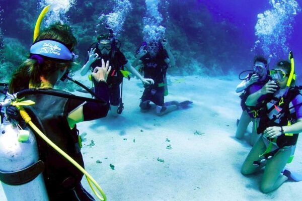 How to Choose a Scuba Diving School in Cyprus