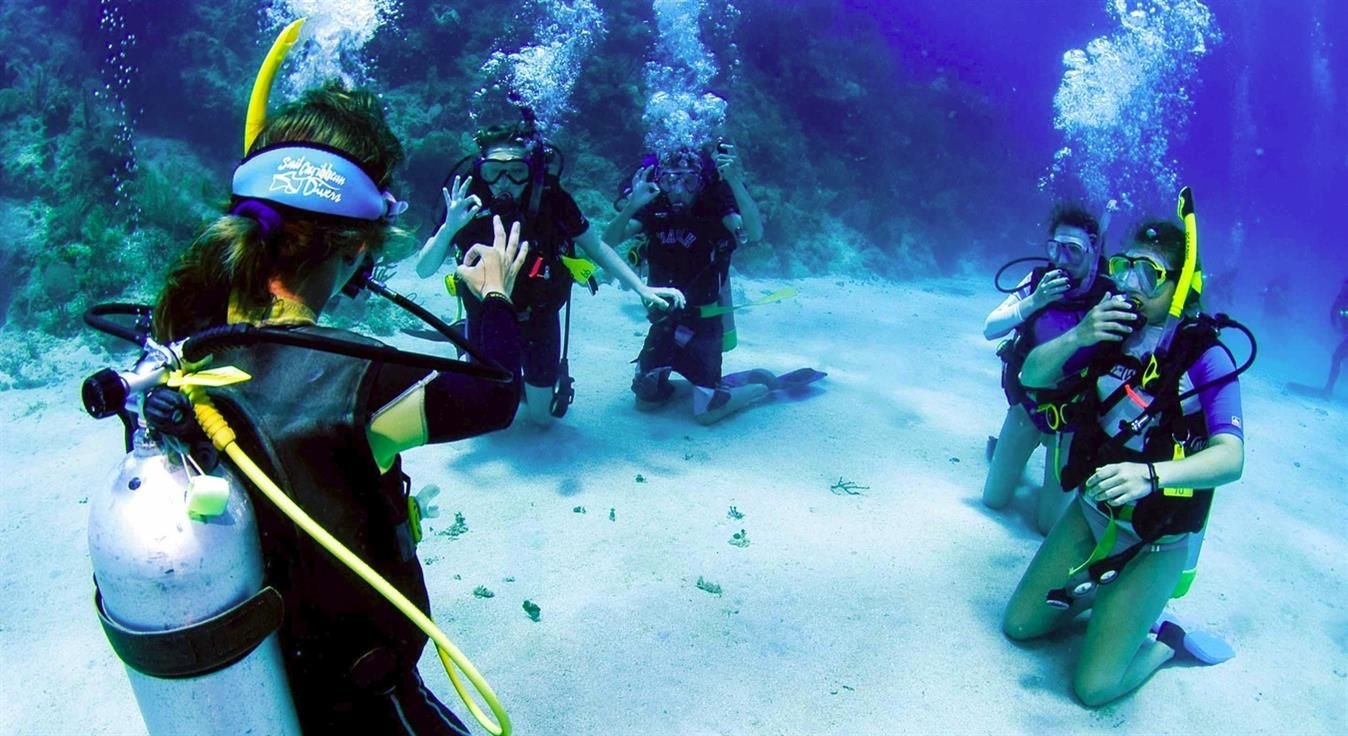 How to Choose a Scuba Diving School in Cyprus