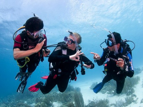 How to Choose a Scuba Diving School in Cyprus