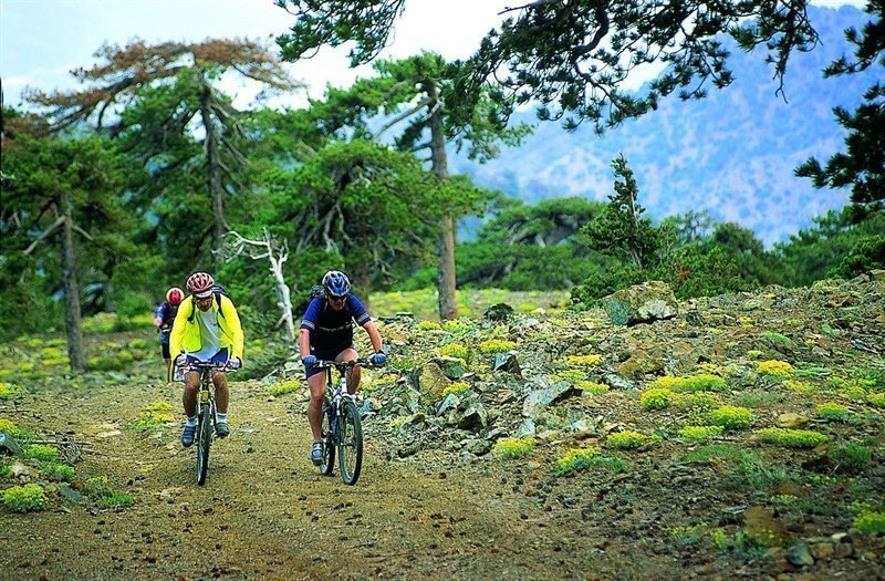 How to Combine Cycling with Agrotourism in Cyprus