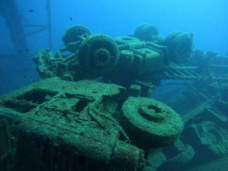 How to Explore Wreck Diving in Cyprus