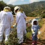 How to Find Authentic Agrotourism Experiences in Cyprus