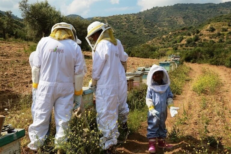 How to Find Authentic Agrotourism Experiences in Cyprus