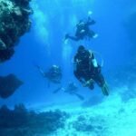 How to Plan a Diving Holiday in Cyprus