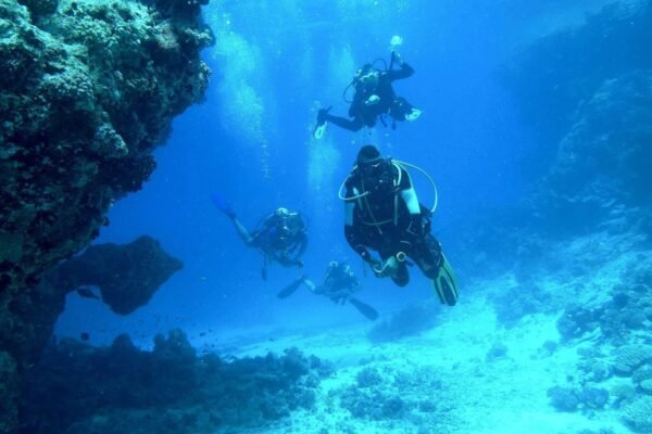 How to Plan a Diving Holiday in Cyprus