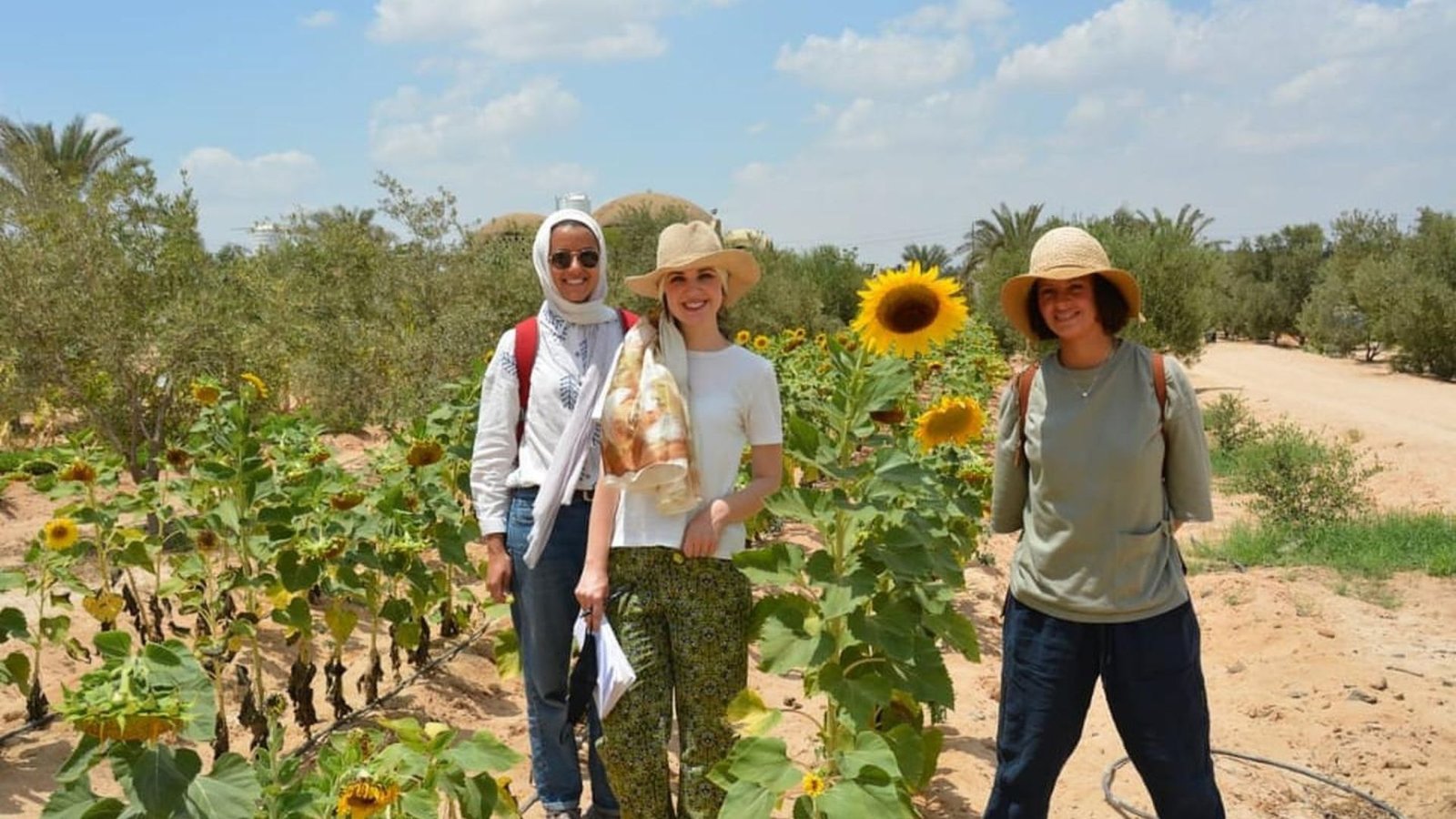 How to Plan a Family Agrotourism Trip in Cyprus