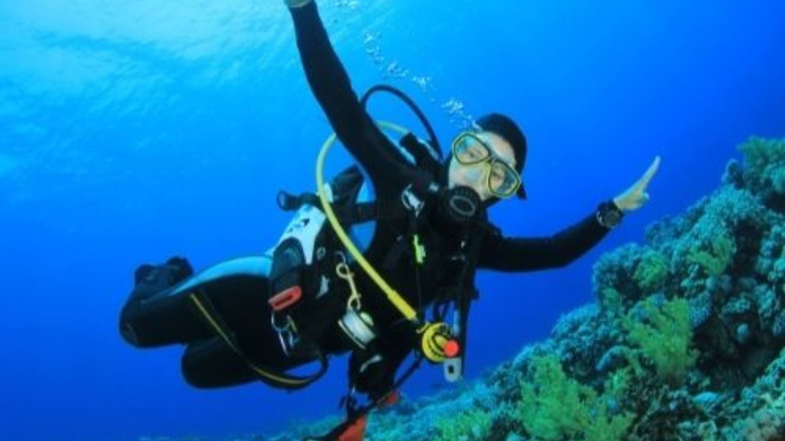 Seasonal Conditions for Scuba Diving in Cyprus