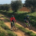 The Best Cycling Tours Through Cyprus' Countryside