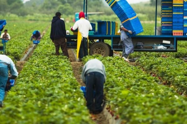 The Rise of Eco-Friendly Agrotourism in Cyprus