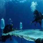 The Role of Scuba Diving in Cyprus’ Marine Conservation