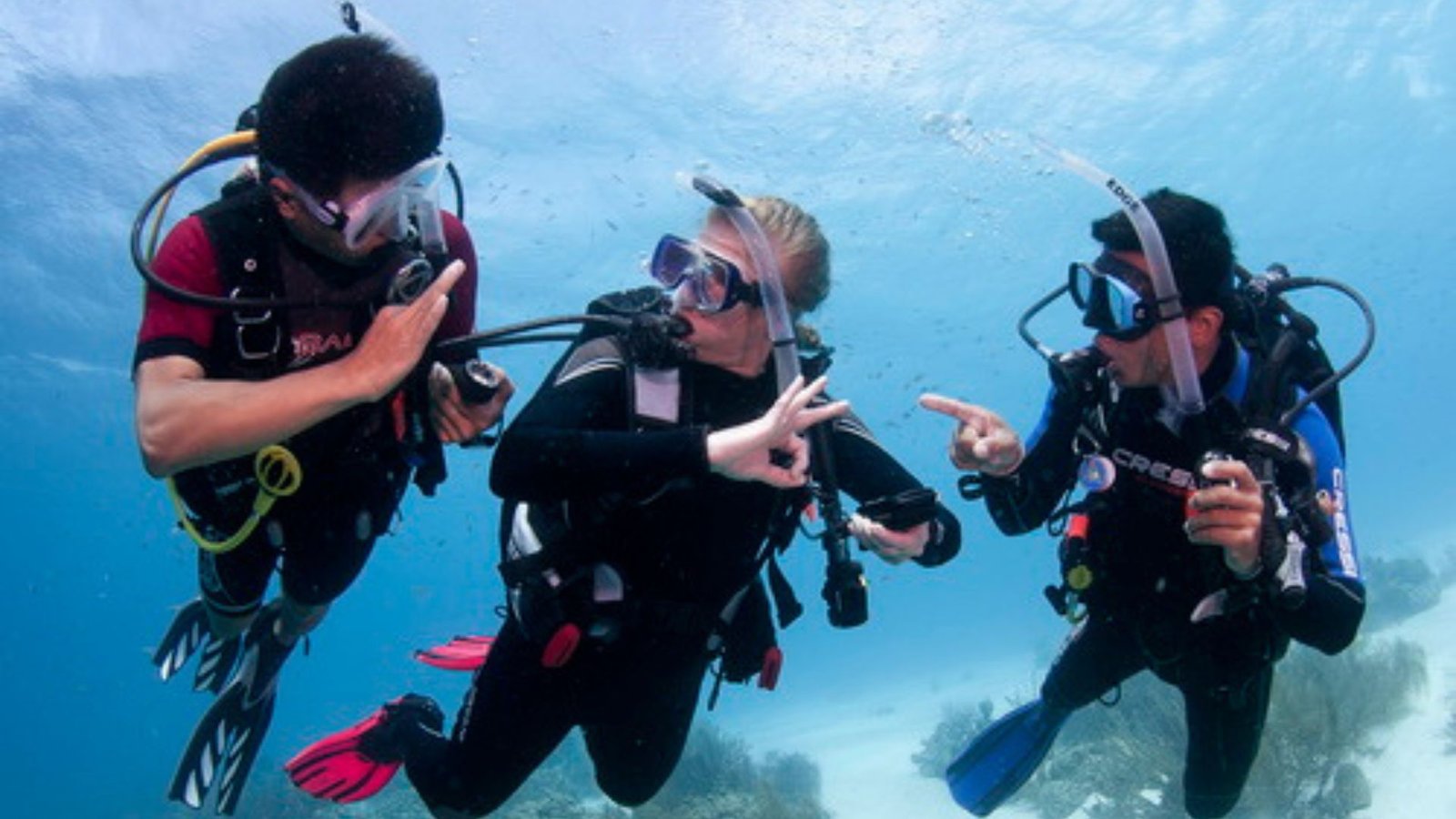 Top Dive Schools for Scuba Diving in Cyprus