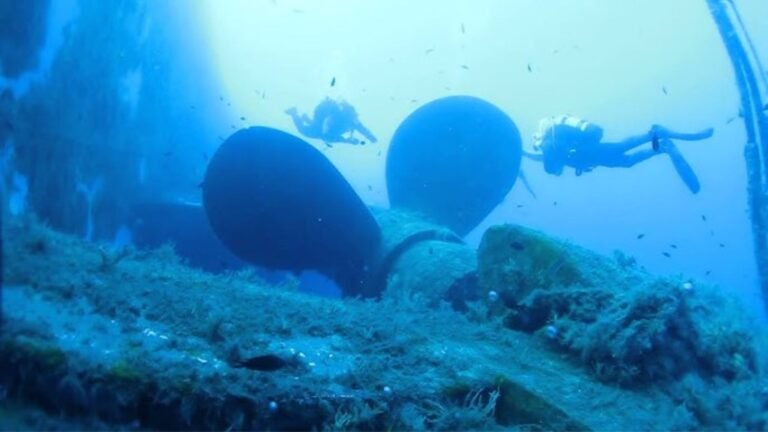 A Wreck Dive to Experience in Cyprus